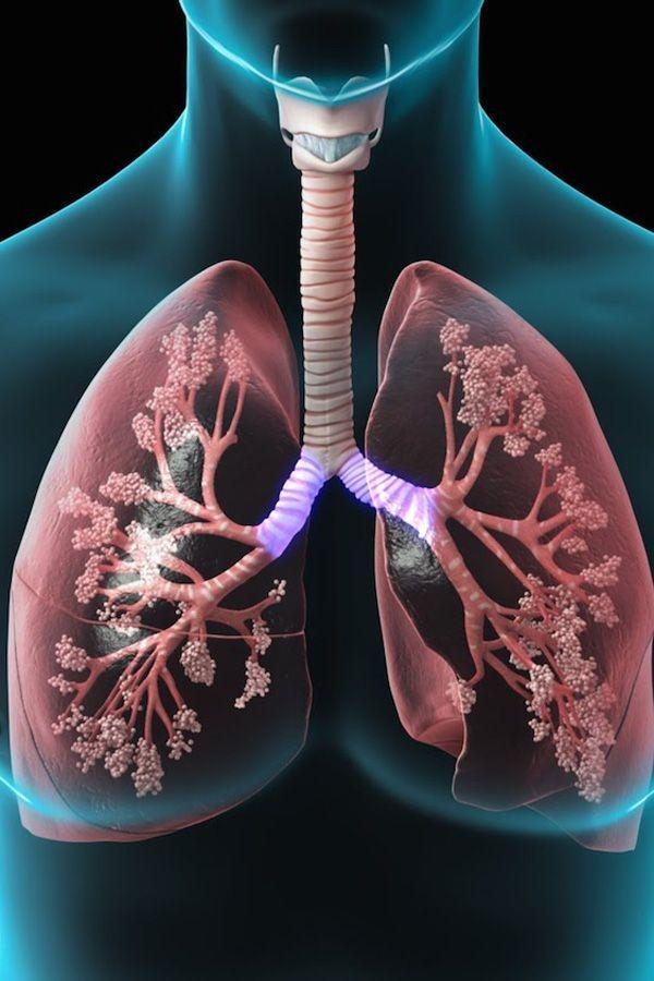 Scientists Develop Novel & Cheap 3D Robotic Motion Phantom that can Reproduce Human Lung Motion