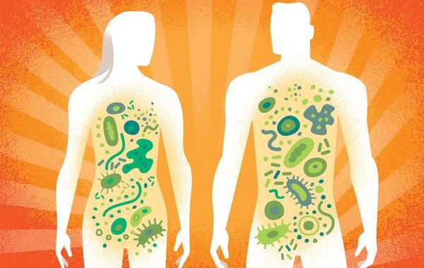 Study Identifies Uniqueness of South Asian Gut Microbiome, Critical for Lifestyle Disease Treatment