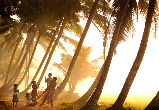 ഹിമാലയൻ യാത്രയിലെ സഹയാത്രി – പി.കെ.ബാലൻ പണിക്കർ