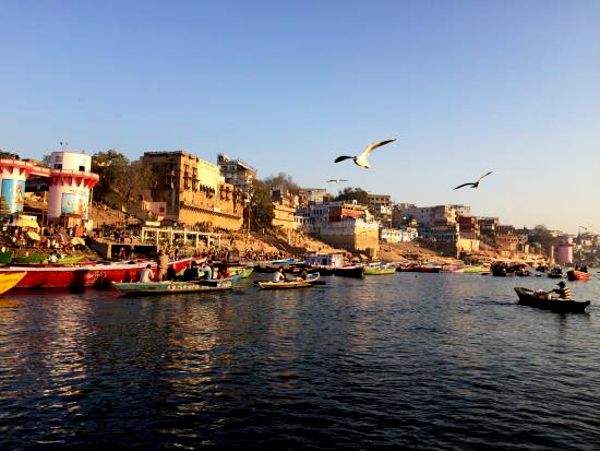 Oxygen Levels Improve at 40 Locations on Ganga Since 2014