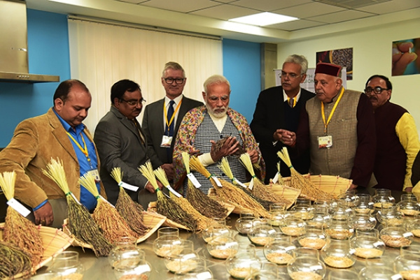 Prime Minister Narendra Modi Inaugurated IRRI Centre in Varanasi for Advances Rice Science for South Asia and Africa