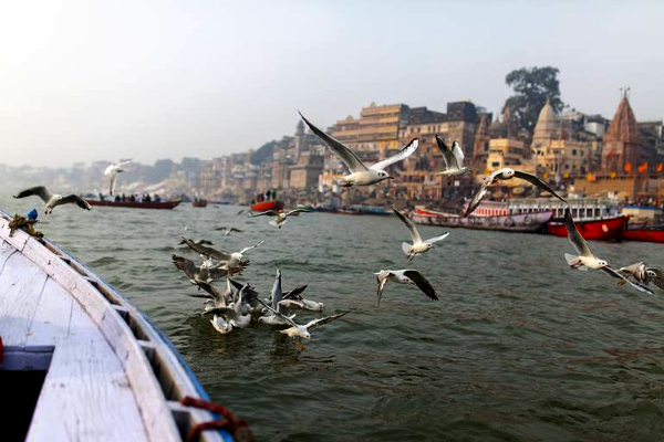 Ganga has higher proportion of antibacterial agents: study