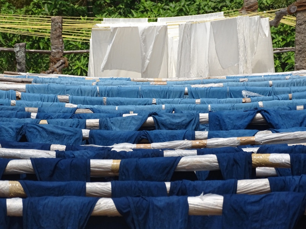 Neeli Raag: Swati Deshpande chronicles India's 4,500-year-old tradition of indigo dyeing