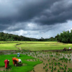 India Launches AI-Enabled Weather Forecasting Systems to Deliver Hyper-Local Monsoon and Rainfall Alerts