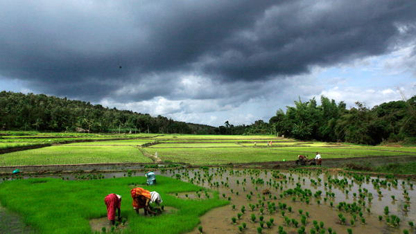 The India Meteorological Department (IMD) Tuesday said it is working at a brisk pace to issue localised weather forecasting to all 6,500 blocks across 660 districts in the country by 2020 and help as many as 9.5 crore farmers deal with the vagaries of weather.