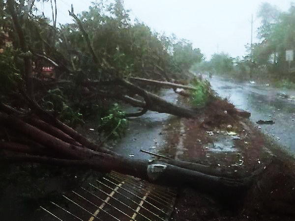 How Do You Aave 1 Million+ People From A Severe Cyclone? Ask Odisha