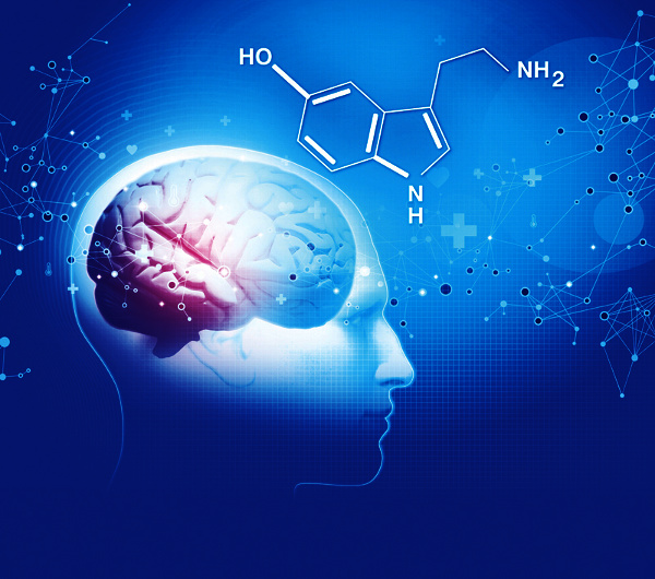 Indian scientists discover how serotonin helps brain cells cope with stress