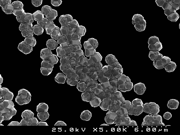 A team of researchers has explored the potential of transformation of harmful carbonaceous aerosol particles into value-added products that are important to the biomedical industry