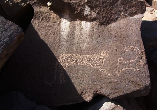 Experts visit Bihar’s first megalithic site on Kaimur hills