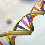 India’s Genome Is Not Western: GenomeIndia Study Calls for India-Specific Precision Medicine