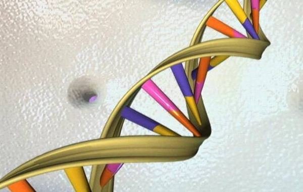 India’s Genome Is Not Western: GenomeIndia Study Calls for India-Specific Precision Medicine