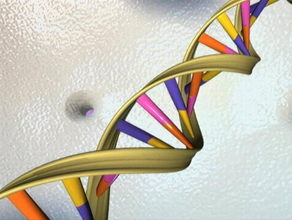 India to launch its 1st human genome cataloguing project