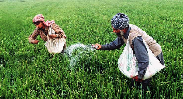 Steps Taken to Ensure Availability of Fertilizers to Farmers at Subsidized Prices