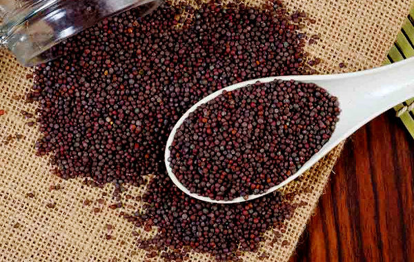 Mustard seeds capable of lighting LEDs: IISER Pune
