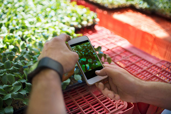 Tomar launches two agriculture-related mobile apps