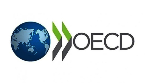 28 Developing Nations Back India on OECD Tax Proposal