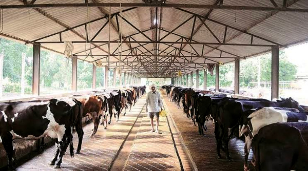 Agriculture: How Kuppam, the dairy village that turned entrepreneurial