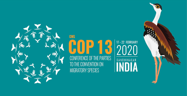 India gears up for UN summit on migratory species