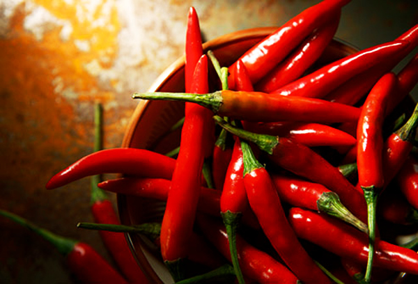 Indian scientists find a way to enhance fat-burning capacity of chilli