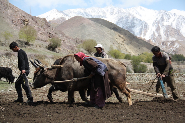 Union Territory of Ladakh gets New Regional Centre of GB Pant Institute of Himalayan Environment & Development