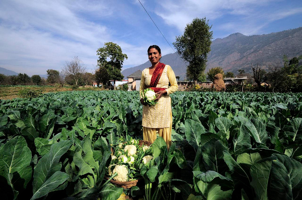 Agri Ministry making Central Farmers Database, will issue farmers smart cards for subsidies & claims