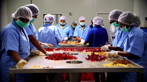 Centre Approves 29 Projects in the Food Processing Sector