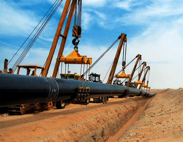 Government okays Rs 5,559-crore booster for northeast gas grid