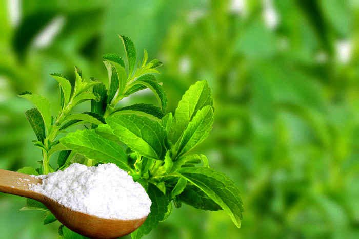 a sugar substitute based on the Stevia plant, which is Food Safety and Standards Authority of India approved .