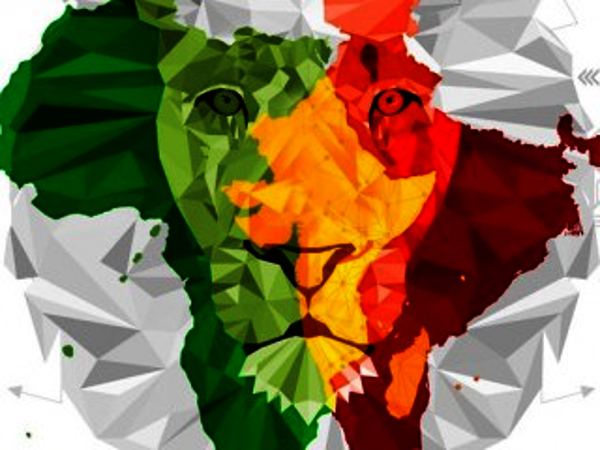 India-Africa Trade Council Takes Off