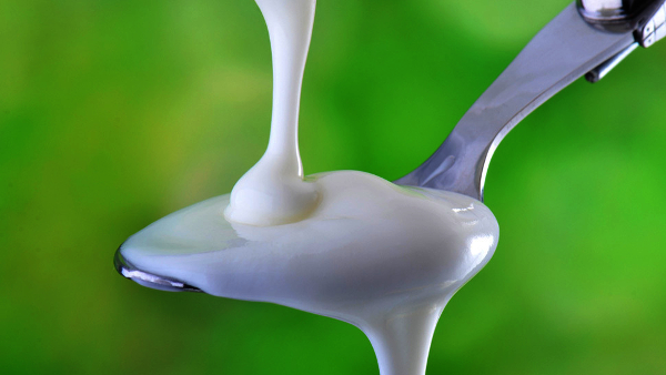Indian Scientists Find One More Reason to Love Curd