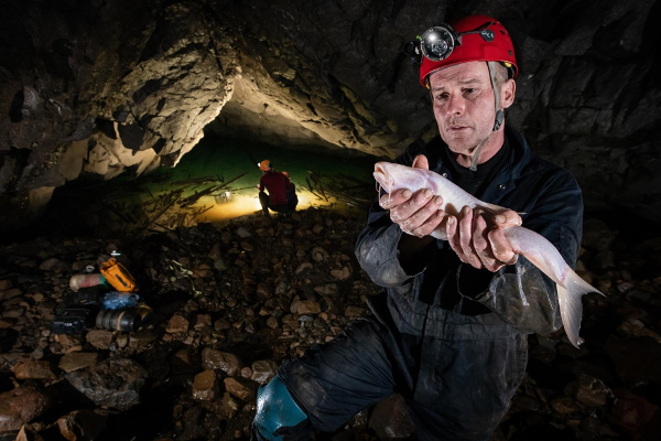 World’s largest cave fish discovered in India