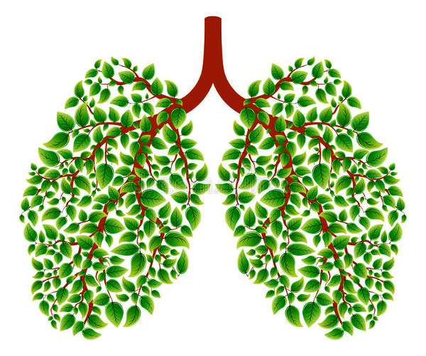 Do Breath Holding Exercise, Make Your Lungs Healthier- Learn  How To