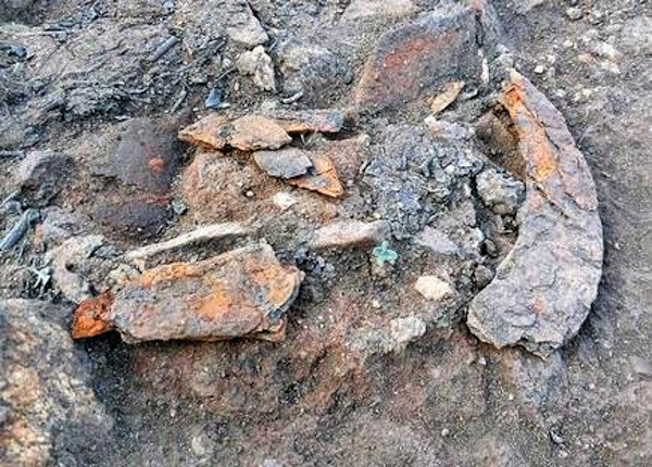 Iron Age sickle discovered from Malampuzha reservoir area