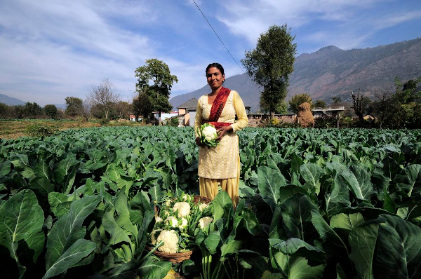 World Bank & Indian Govt sign $80M loan to develop agriculture, water mgmt in Himachal