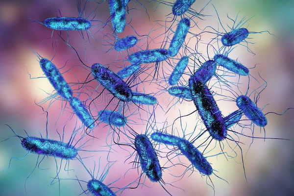 ARI researchers develop bug sniffer for efficient detection of pathogens