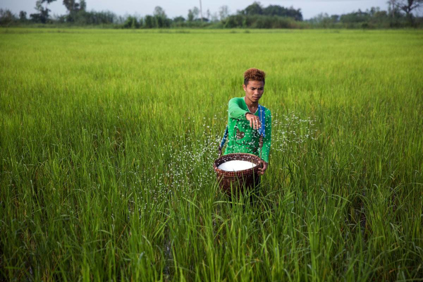 Despite COVID -19 lockdown Production and Movement of Fertilizers going on to meet the demand of farmers