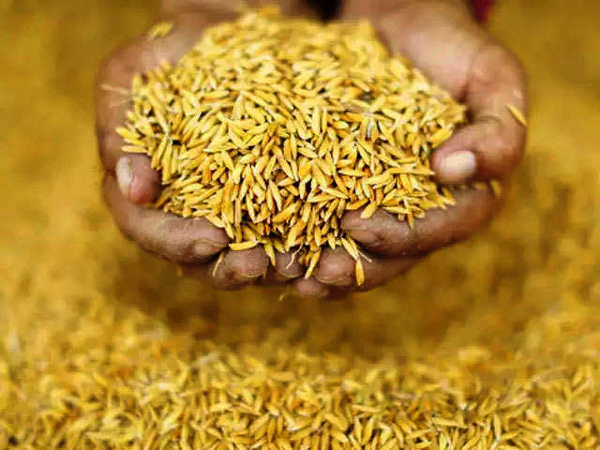 Under PMGKAY Food Corporation of India supplies 31.80 LMT Free food Grains to States/ UTs