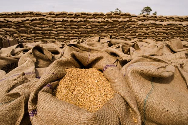 India to export wheat to Afghanistan and Lebanon