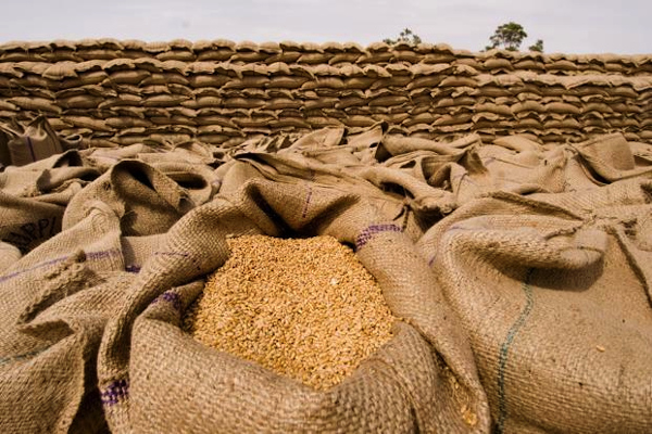 7500 Metric Ton Wheat and 4000 Metric Ton Rice from Central Pool Stock Granted to Deserving Countries Through MEA in 2020-21