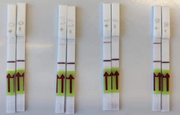 India's first paper-strip test for Covid-19, CSIR lab makes a breakthrough