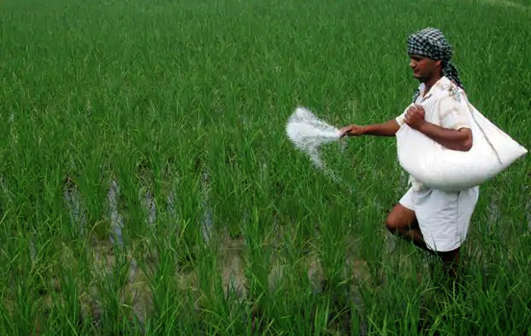 Record fertilizer sales during lockdown period