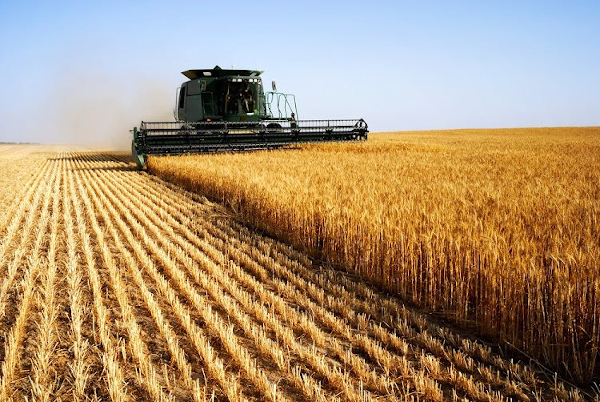 India set to harvest record food grains, oil-seeds and other commercial crops in 2019-20