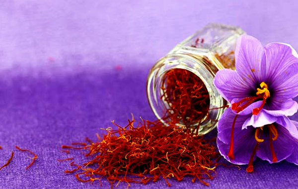 Saffron in Ayurveda: Kumkuma for the Mind, Complexion, Vitality and Healthy Ageing