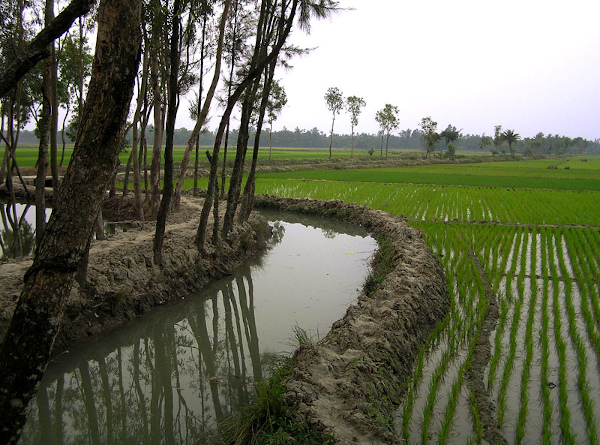 Project Signing: World Bank Project Agreement Signed to Reduce Flooding and Improve Irrigation in West Bengal