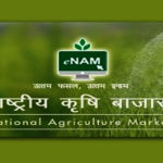 e-NAM Integrates 1,656 Mandis, Benefits Over 1.80 Crore Farmers with ₹4.82 Lakh Crore Trade Since Inception