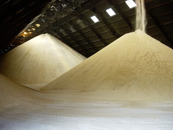 India likely to cross record 55 lakh tonnes of sugar exports