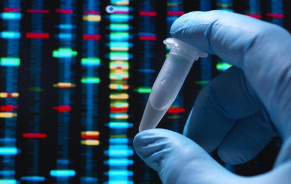 UMMID Network Dedicated to Nation: India Pushes Genomic Healthcare Closer to Families and Newborns