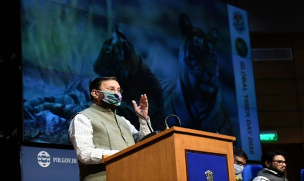 Union Environment Minister releases detailed report of Tiger Census on the eve of Global Tiger Day