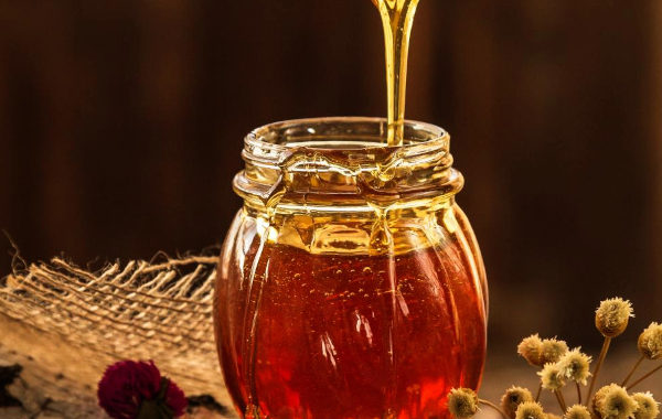 World Class State of the Art Honey Testing Lab inaugurated at Anand, Gujarat