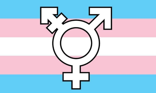 Central Government constitutes National Council for Transgender Persons